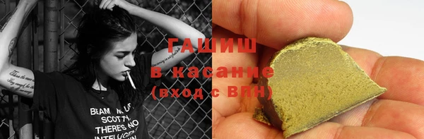 стаф Алзамай