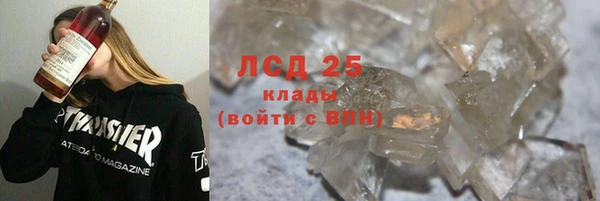 стаф Алзамай