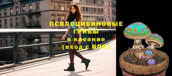 стаф Алзамай