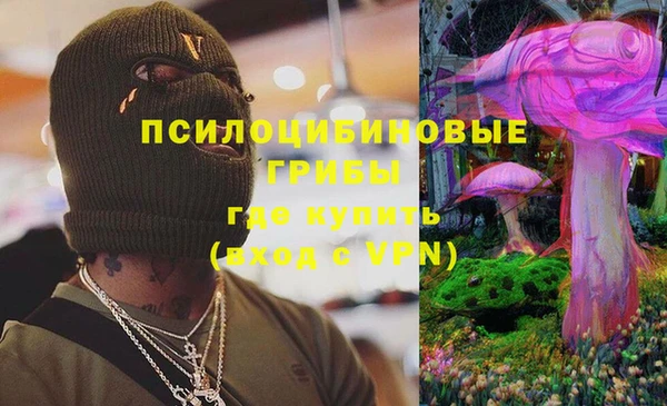 стаф Алзамай