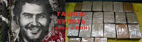 стаф Алзамай