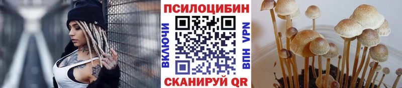 Галлюциногенные грибы мицелий Струнино